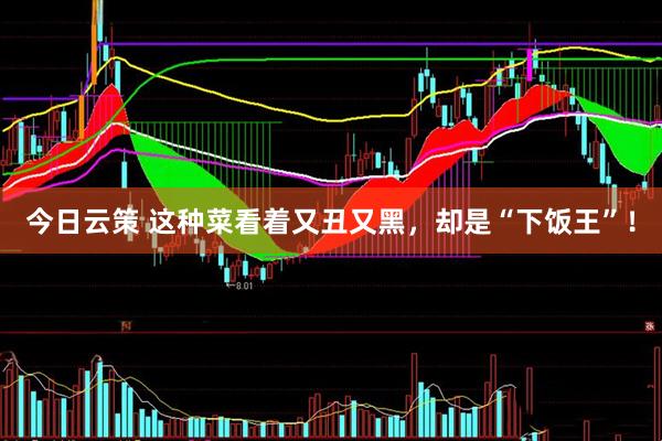 今日云策 这种菜看着又丑又黑，却是“下饭王”！