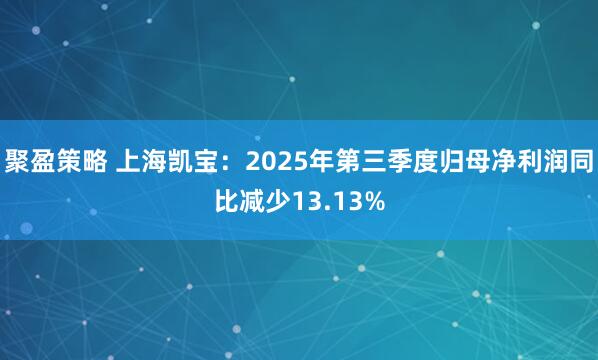聚盈策略 上海凯宝：2025年第三季度归母净利润同比减少13.13%