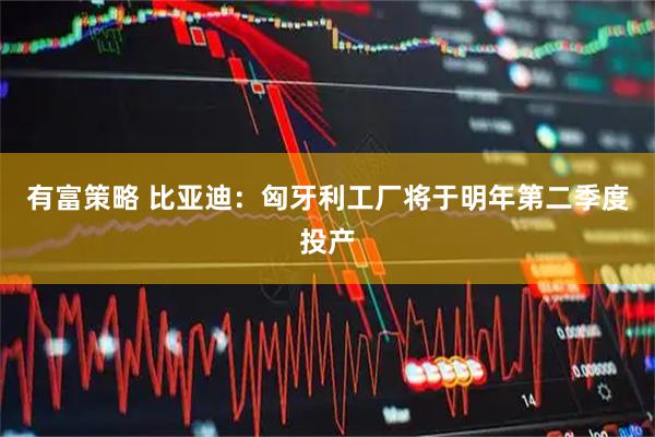 有富策略 比亚迪：匈牙利工厂将于明年第二季度投产
